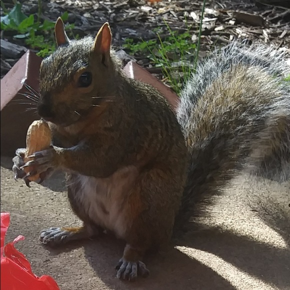 Welcome to my closet!! - Picture 7 of 8